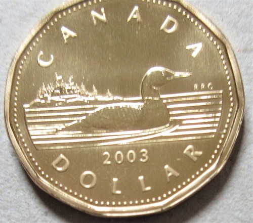 2003 canada loonie - canada, specimen/pl