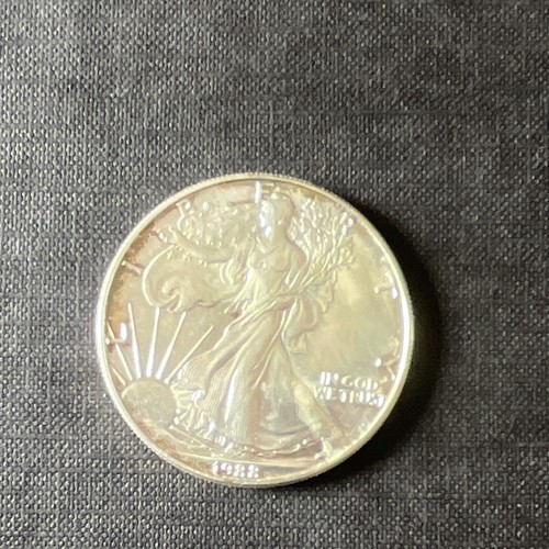 Moneta usa american silver - moneta,