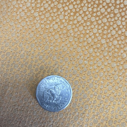 Usa dollar susan - 1,