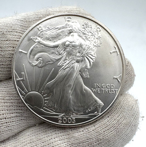 Usa one dollar - liberty, oncia